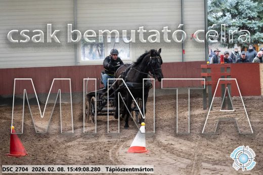 Mintakép 20260208-1635