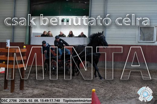Mintakép 20260208-1637