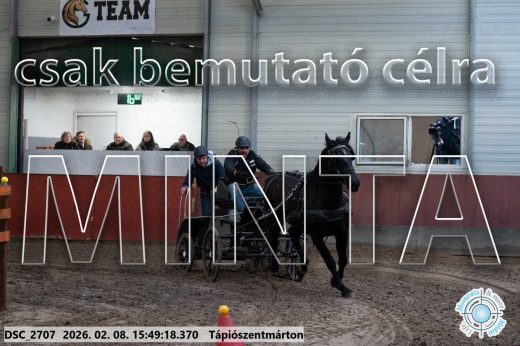 Mintakép 20260208-1638