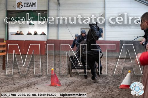 Mintakép 20260208-1639