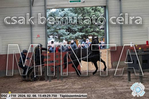 Mintakép 20260208-1641