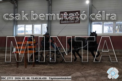 Mintakép 20260208-1642