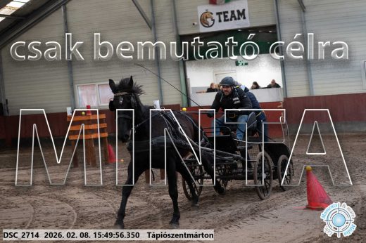 Mintakép 20260208-1645