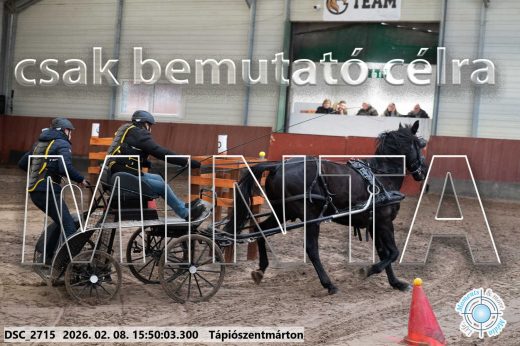 Mintakép 20260208-1646