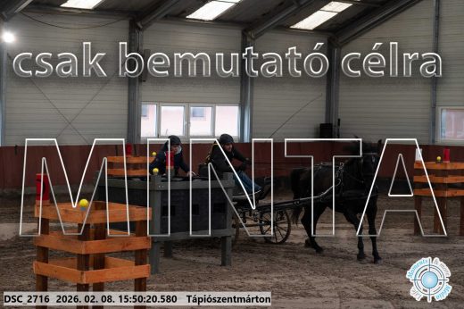 Mintakép 20260208-1647