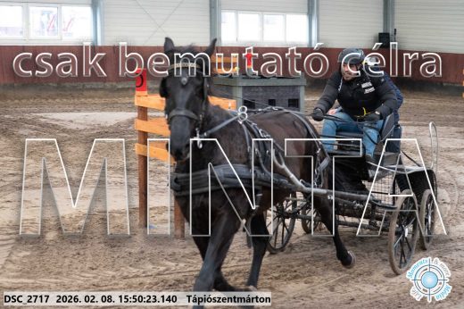 Mintakép 20260208-1648