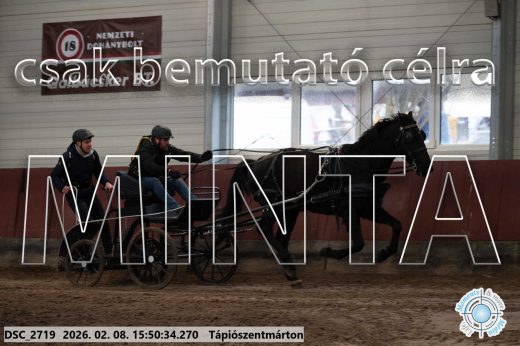 Mintakép 20260208-1650