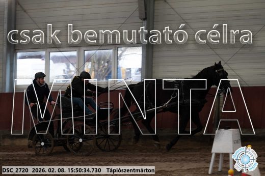 Mintakép 20260208-1651