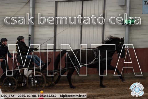 Mintakép 20260208-1652