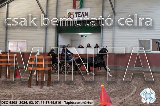 Mintakép 20260207-983