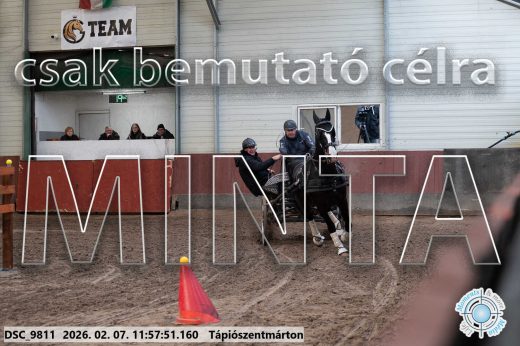 Mintakép 20260207-986