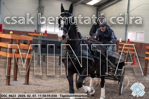 Mintakép 20260207-996