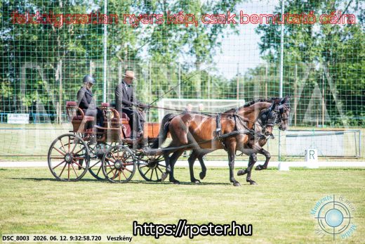 Mintakép 20260612-334