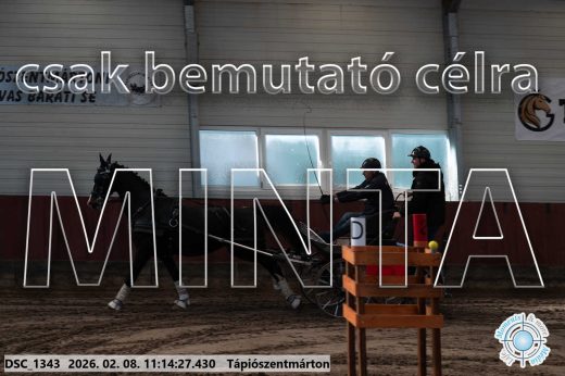 Mintakép 20260208-1659