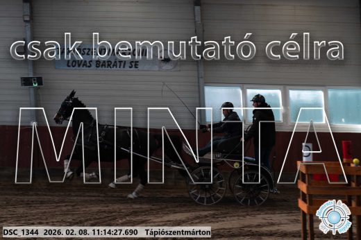 Mintakép 20260208-1660