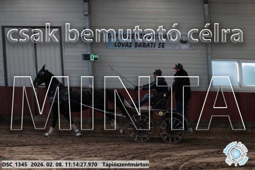 Mintakép 20260208-1661