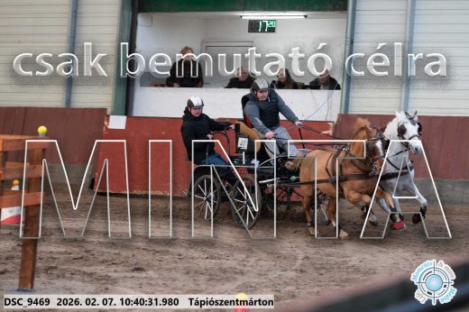 Mintakép 20260207-1005