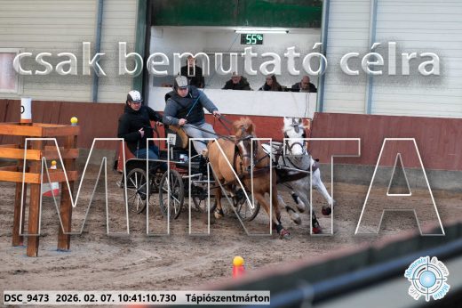 Mintakép 20260207-1007