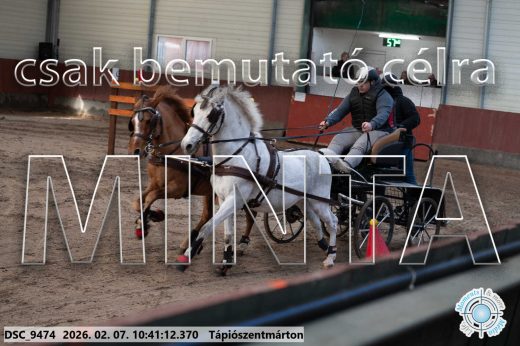Mintakép 20260207-1008