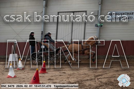 Mintakép 20260207-1011