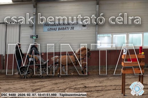 Mintakép 20260207-1012