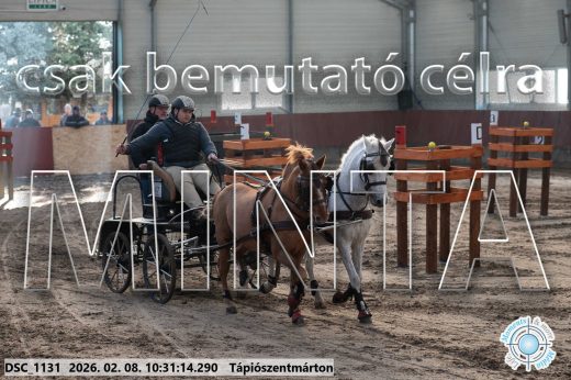 Mintakép 20260208-1663