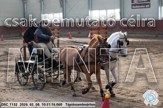 Mintakép 20260208-1664