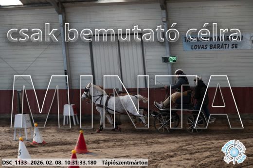 Mintakép 20260208-1665