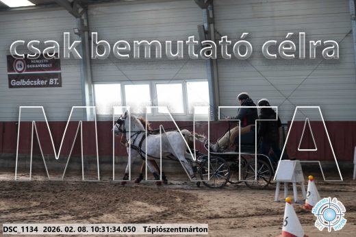 Mintakép 20260208-1666