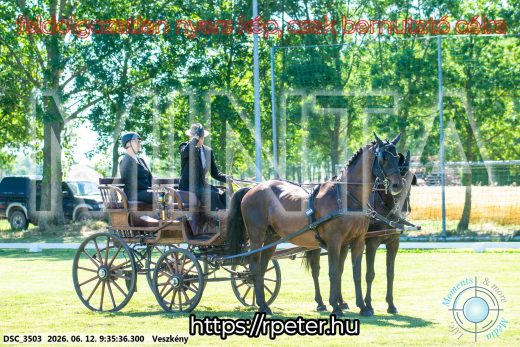 Mintakép 20260612-336