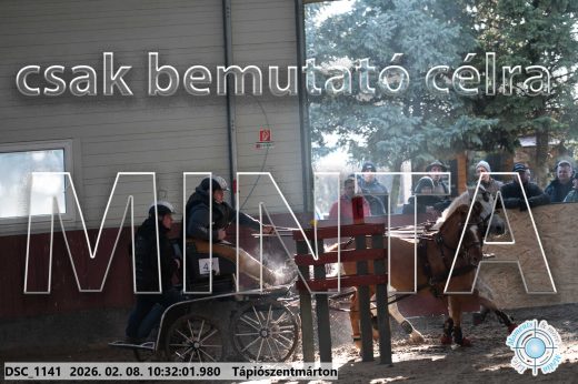 Mintakép 20260208-1671