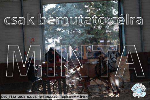 Mintakép 20260208-1672