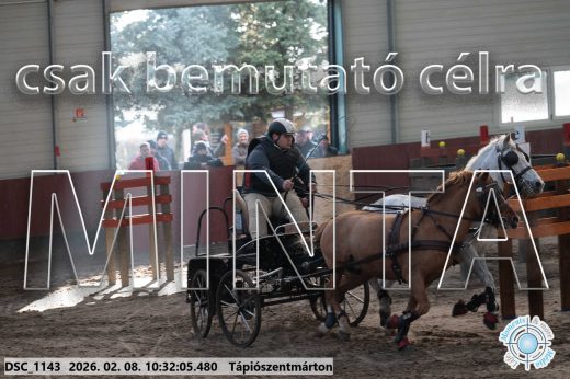 Mintakép 20260208-1673
