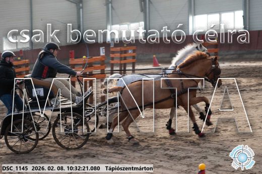 Mintakép 20260208-1674