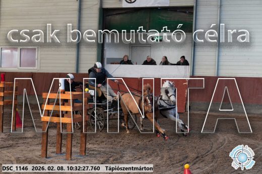 Mintakép 20260208-1675