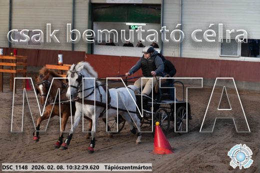 Mintakép 20260208-1677
