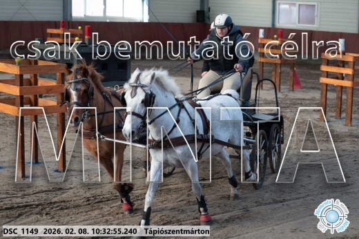 Mintakép 20260208-1678