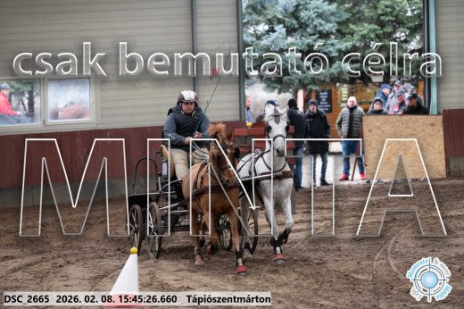 Mintakép 20260208-1682