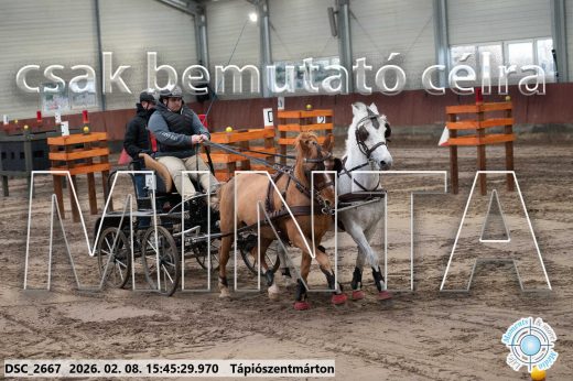 Mintakép 20260208-1684