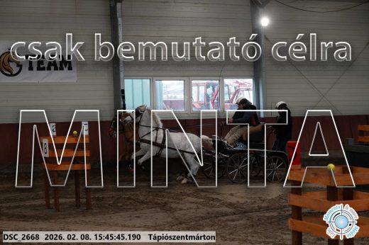 Mintakép 20260208-1685