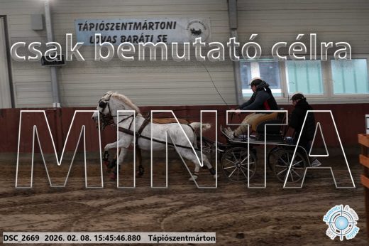 Mintakép 20260208-1686