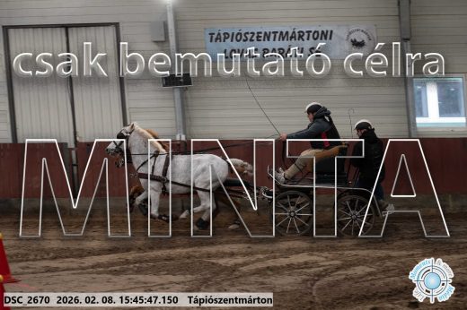 Mintakép 20260208-1687
