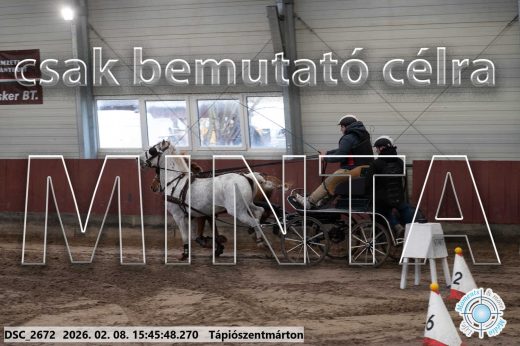 Mintakép 20260208-1689