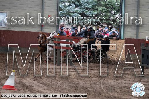Mintakép 20260208-1690