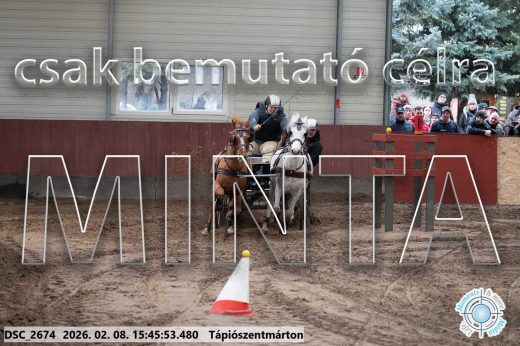 Mintakép 20260208-1691