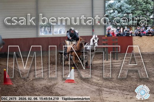 Mintakép 20260208-1692