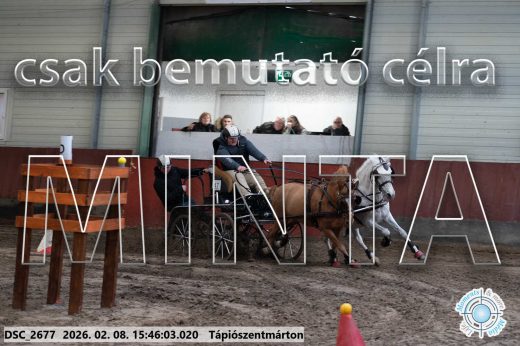 Mintakép 20260208-1694