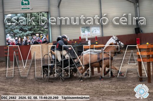 Mintakép 20260208-1699