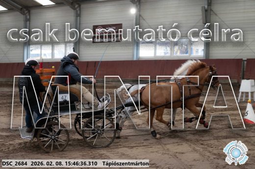 Mintakép 20260208-1701