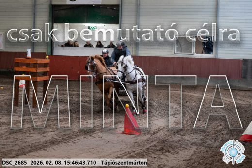 Mintakép 20260208-1702